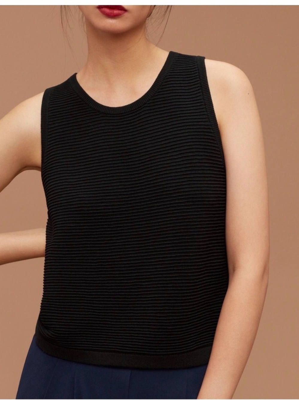 Aritzia Babaton Alrik Knit Tank